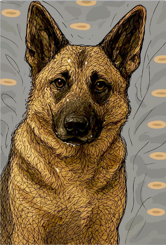 Atlas, an illustrated german shepherd art card