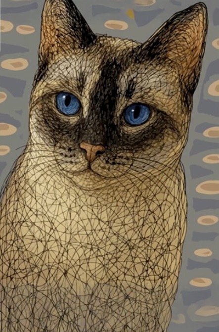 Cosmo, an illustrated blue-eyed cat art card