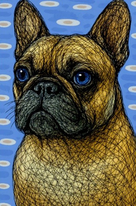 Louie, illustrated french bulldog greeting card
