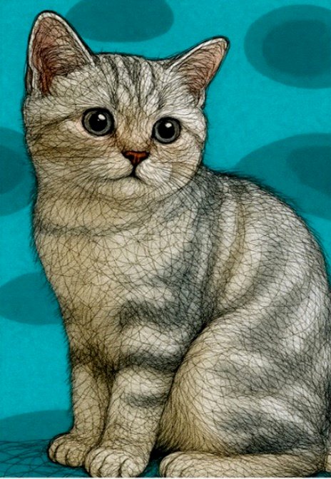 Mochi, an illustrated silver kitten art card