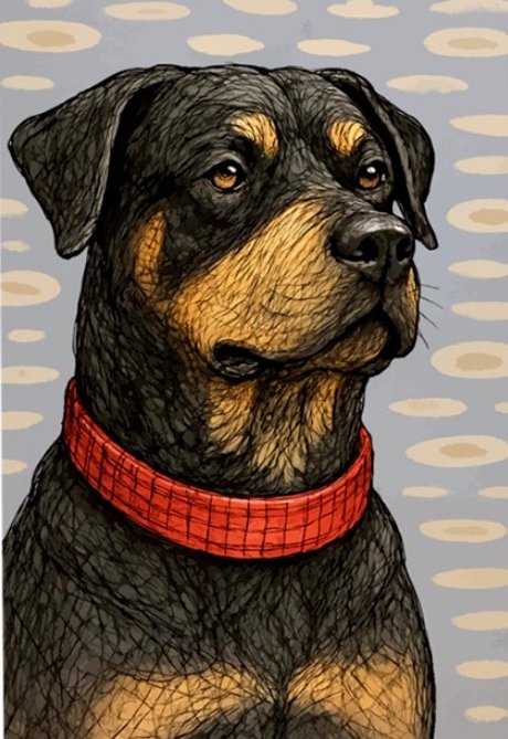 Rocco, an illustrated rottweiler art card